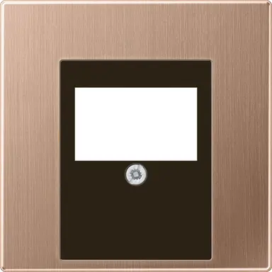 JUNG BRG 2969 T centraalplaat multimedia LS990 geborsteld brons