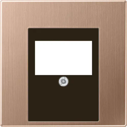 JUNG BRG 2969 T centraalplaat multimedia LS990 geborsteld brons