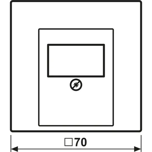 JUNG BRG 2969 T centraalplaat multimedia LS990 geborsteld brons