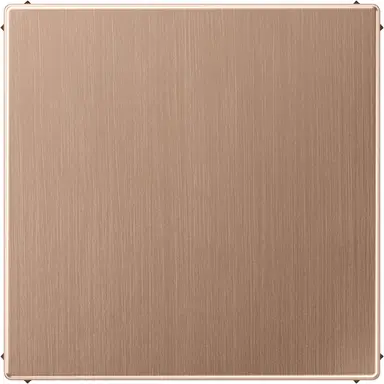 JUNG BRG 2994 B centraalplaat blinddeksel incl. draagframe LS990 geborsteld brons