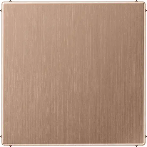 JUNG BRG 2994 B centraalplaat blinddeksel incl. draagframe LS990 geborsteld brons