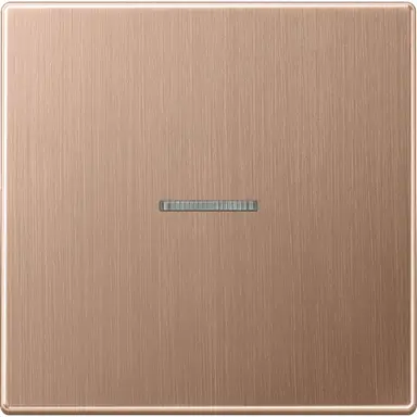 JUNG BRG 2990 KO5 schakelwip met controlevenster LS990 geborsteld brons