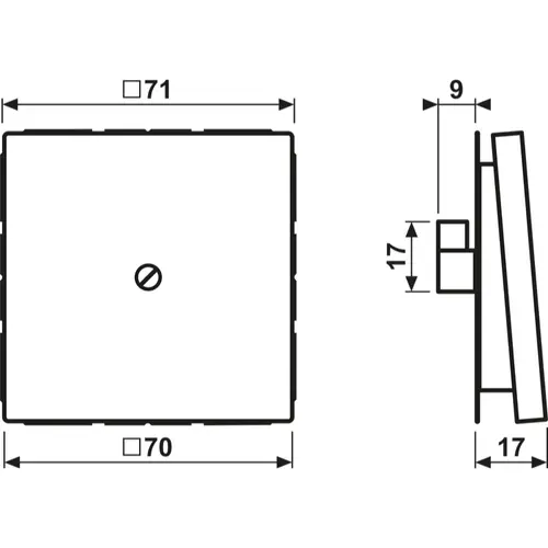 JUNG ES 2990 A centraalplaat snoer invoer incl. draagframe LS990 edelstaal