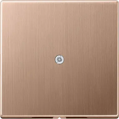 JUNG BRG 2990 A centraalplaat snoer invoer incl. draagframe LS990 geborsteld brons
