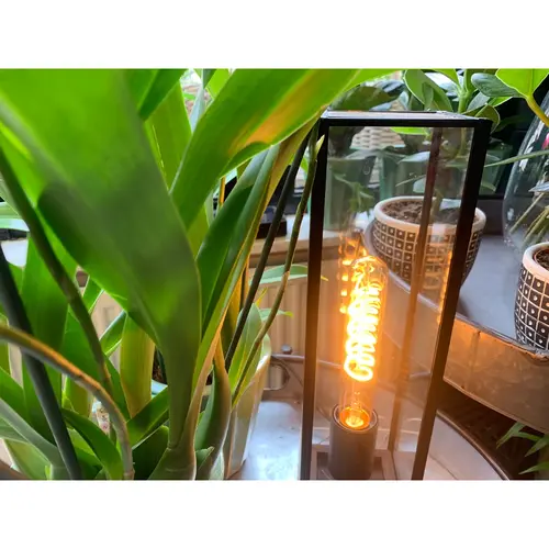 Bailey 142083 LED Big Amy T30 E27 DIM 3W 135lm 920 Goud