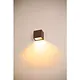 SLV 1005150 SITRA S SINGLE Led Outdoor wandopbouwarmatuur roestkleurig IP65