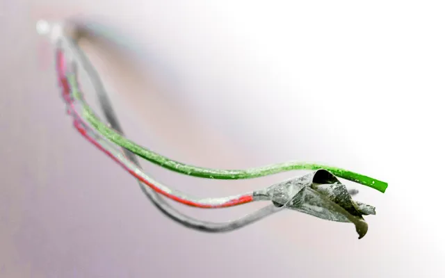 Oude elektra-kabels: vervangen of niet?