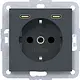 Hager Berker WAS4055AT wandcontactdoos randaarde met 2x USB-C A1/A8/C1/C8 antraciet mat