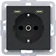 Hager Berker WAS4055BM wandcontactdoos randaarde met 2x USB-C A1/A8/C1/C8 nachtzwart mat