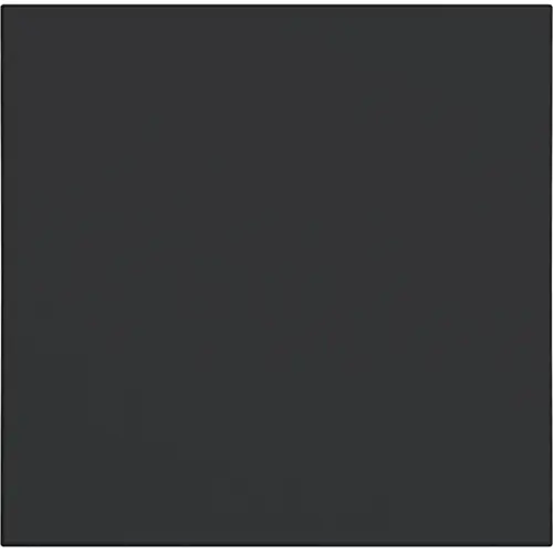 Hager Berker WAW1000BM schakelwip A1/A8/C1/C8 nachtzwart mat