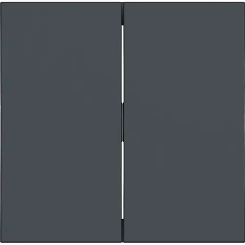 Hager Berker WAW2000AT schakelwip 2-voudig A1/A8/C1/C8 antraciet mat