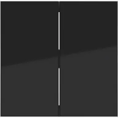 Hager Berker WAW2000BG schakelwip 2-voudig A1/A8/C1/C8 nachtzwart glans