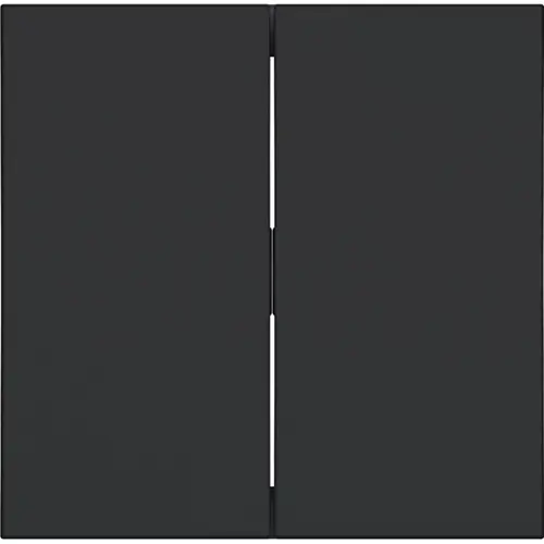 Hager Berker WAW2000BM schakelwip 2-voudig A1/A8/C1/C8 nachtzwart mat