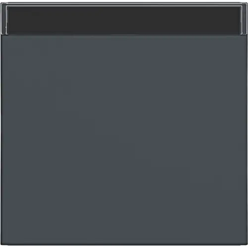 Hager Berker WAW1100AT schakelwip tekstveld A1/A8/C1/C8 antraciet mat