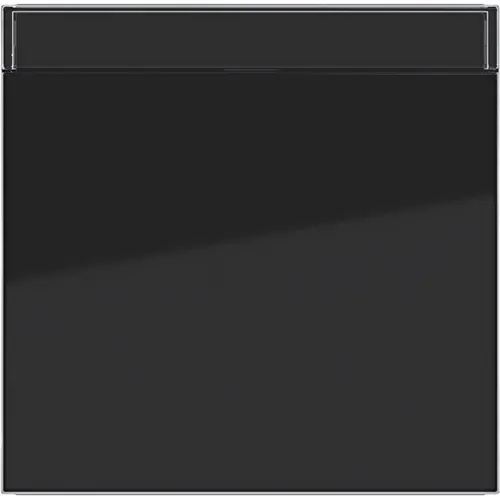 Hager Berker WAW1100BG schakelwip tekstveld A1/A8/C1/C8 nachtzwart glans