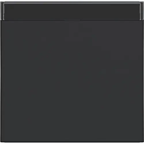 Hager Berker WAW1100BM schakelwip tekstveld A1/A8/C1/C8 nachtzwart mat