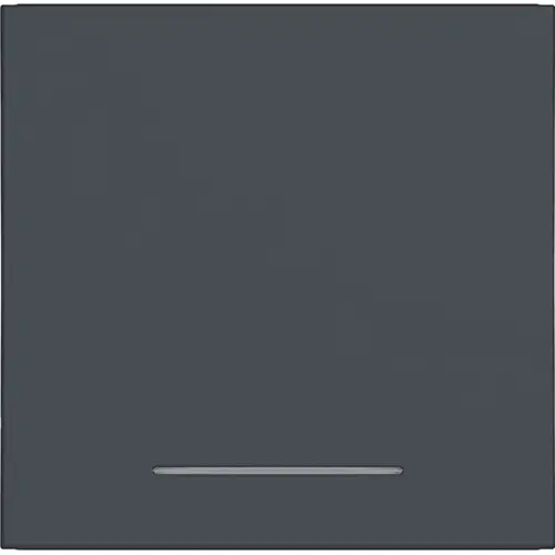 Hager Berker WAW1031AT schakelwip controlevenster A1/A8/C1/C8 antraciet mat