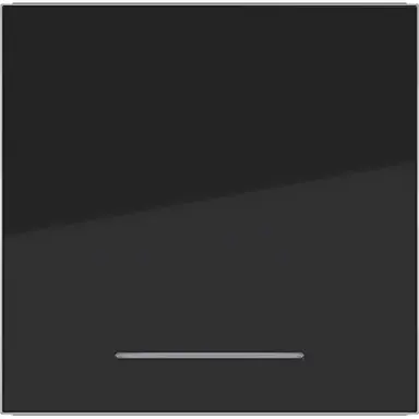 Hager Berker WAW1031BG schakelwip controlevenster A1/A8/C1/C8 nachtzwart glans