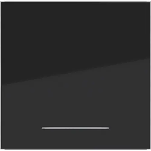 Hager Berker WAW1031BG schakelwip controlevenster A1/A8/C1/C8 nachtzwart glans