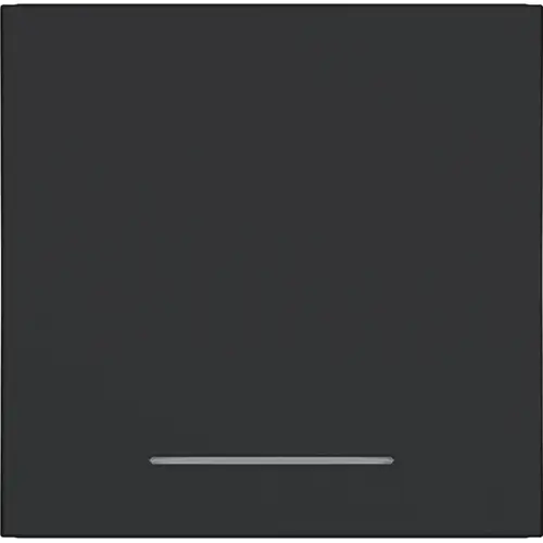 Hager Berker WAW1031BM schakelwip controlevenster A1/A8/C1/C8 nachtzwart mat