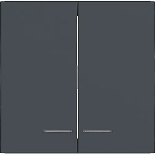 Hager Berker WAW2031AT schakelwip 2-voudig controlevenster A1/A8/C1/C8 antraciet mat