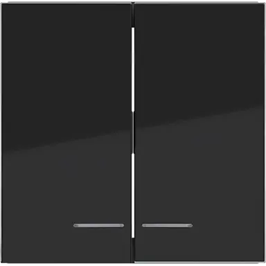 Hager Berker WAW2031BG schakelwip 2-voudig controlevenster A1/A8/C1/C8 nachtzwart glans