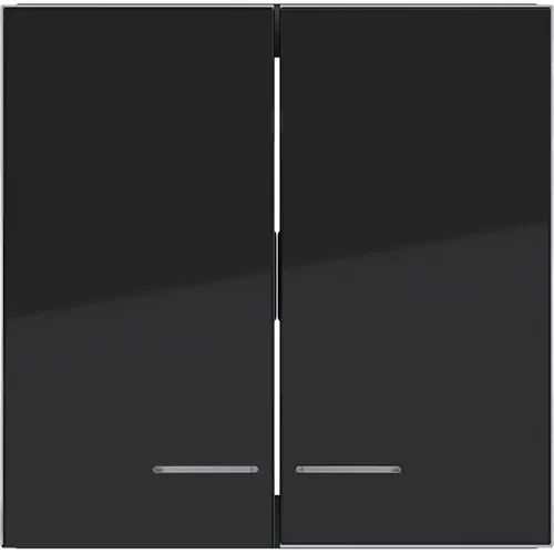 Hager Berker WAW2031BG schakelwip 2-voudig controlevenster A1/A8/C1/C8 nachtzwart glans