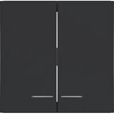 Hager Berker WAW2031BM schakelwip 2-voudig controlevenster A1/A8/C1/C8 nachtzwart mat