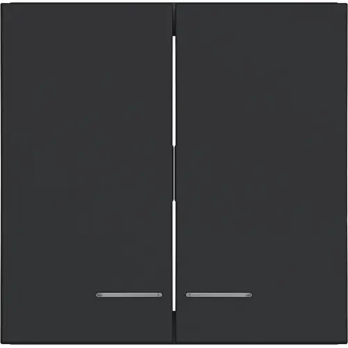 Hager Berker WAW2031BM schakelwip 2-voudig controlevenster A1/A8/C1/C8 nachtzwart mat