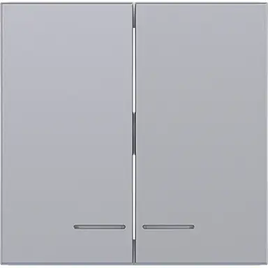 Hager Berker WAW2031TA schakelwip 2-voudig controlevenster A1/A8/C1/C8 titaan