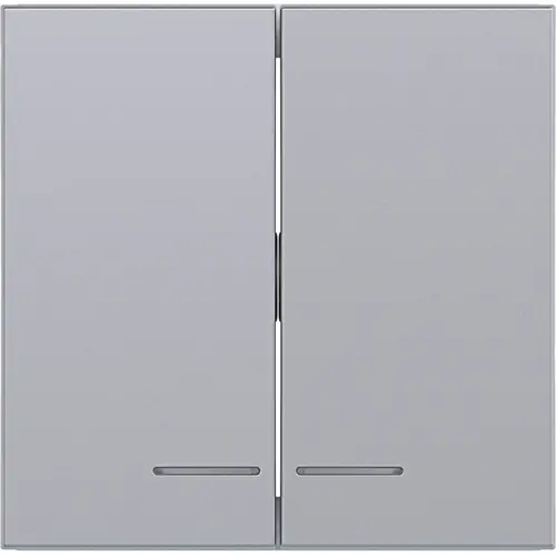 Hager Berker WAW2031TA schakelwip 2-voudig controlevenster A1/A8/C1/C8 titaan