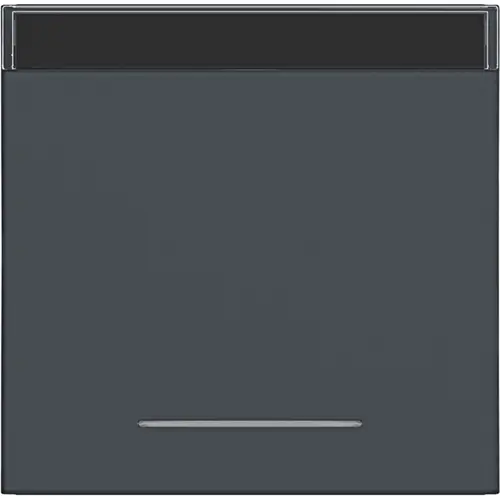 Hager Berker WAW1131AT schakelwip met tekstveld en controlevenster A1/A8/C1/C8 antraciet mat