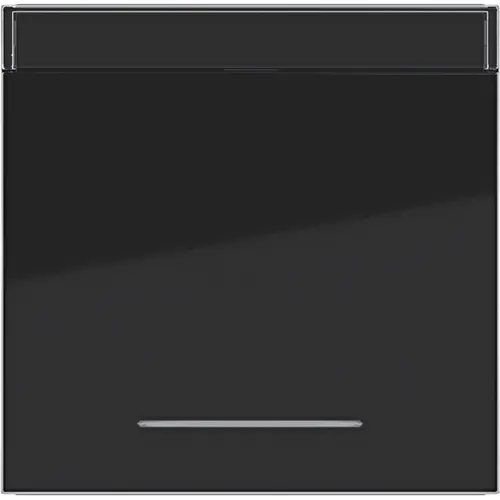 Hager Berker WAW1131BG schakelwip met tekstveld en controlevenster A1/A8/C1/C8 nachtzwart glans