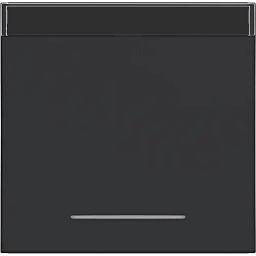 Hager Berker WAW1131BM schakelwip met tekstveld en controlevenster A1/A8/C1/C8 nachtzwart mat