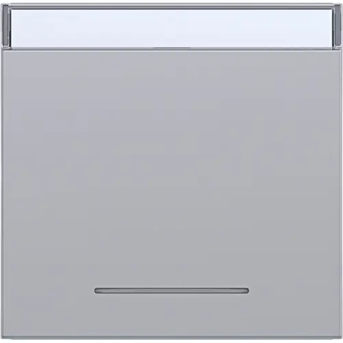 Hager Berker WAW1131TA schakelwip met tekstveld en controlevenster A1/A8/C1/C8 titaan