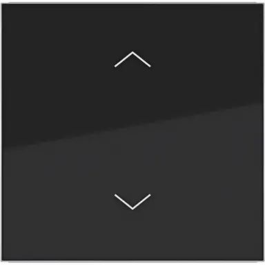 Hager Berker WAW1002BG schakelwip met pijlsymbolen A1/A8/C1/C8 nachtzwart glans