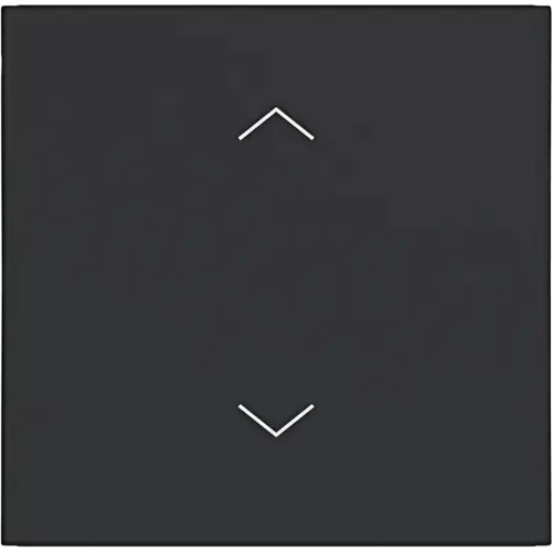 Hager Berker WAW1002BM schakelwip met pijlsymbolen A1/A8/C1/C8 nachtzwart mat