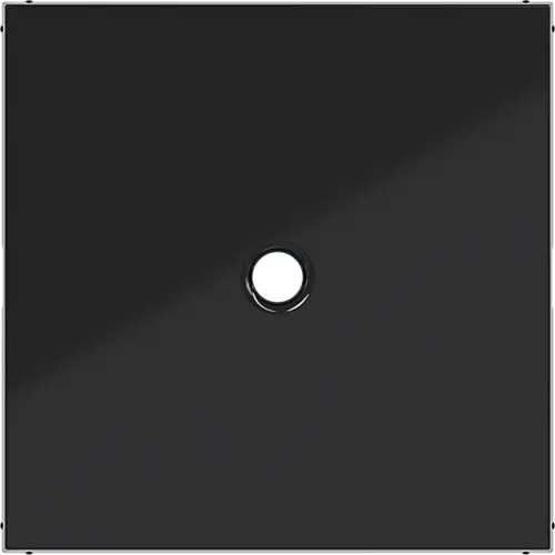 Hager Berker WAF1048BG centraalplaat trekschakelaar A1/A8/C1/C8 nachtzwart glans