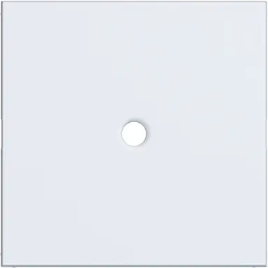 Hager Berker WAF1048WM centraalplaat trekschakelaar A1/A8/C1/C8 lichtwit mat