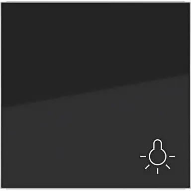 Hager Berker WAW1012BG schakelwip met lichtsymbool A1/A8/C1/C8 nachtzwart glans
