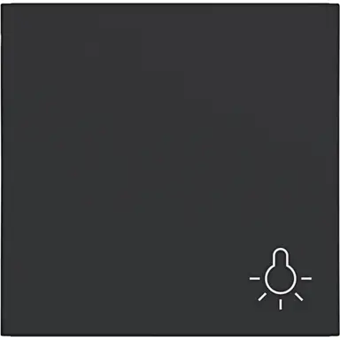 Hager Berker WAW1012BM schakelwip met lichtsymbool A1/A8/C1/C8 nachtzwart mat