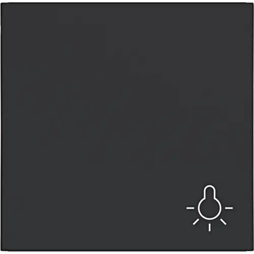 Hager Berker WAW1012BM schakelwip met lichtsymbool A1/A8/C1/C8 nachtzwart mat
