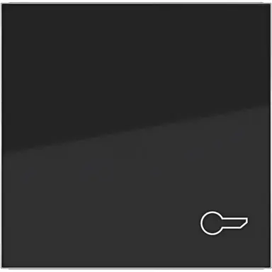 Hager Berker WAW1013BG schakelwip met sleutelsymbool A1/A8/C1/C8 nachtzwart glans