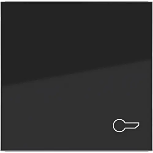 Hager Berker WAW1013BG schakelwip met sleutelsymbool A1/A8/C1/C8 nachtzwart glans