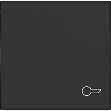 Hager Berker WAW1013BM schakelwip met sleutelsymbool A1/A8/C1/C8 nachtzwart mat