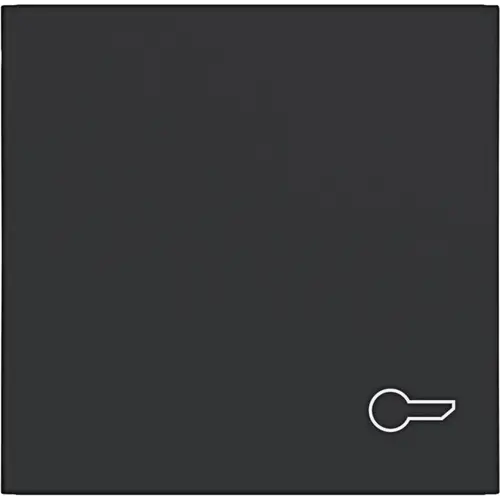 Hager Berker WAW1013BM schakelwip met sleutelsymbool A1/A8/C1/C8 nachtzwart mat
