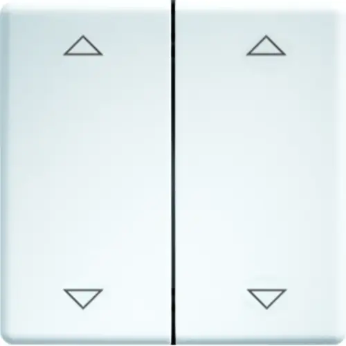 Eltako DW-FT55-RW+2P wandezender dubbele wip +pijl