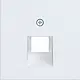 Hager Berker WAF1107WM centraalplaat RJ45 wandcontactdoos 1-voudig A1/A8/C1/C8 lichtwit mat