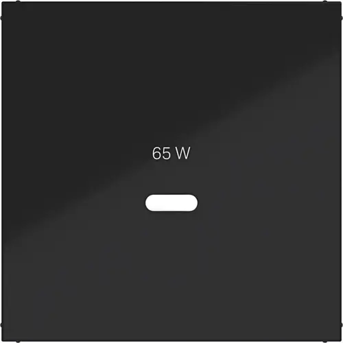 Hager Berker WAF1511BG centraalplaat voor USB-lader type C A1/A8/C1/C8 nachtzwart glans