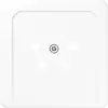 JUNG CD 561 NTF WW centraalplaat telefoon 4-polig CD500 alpine wit
